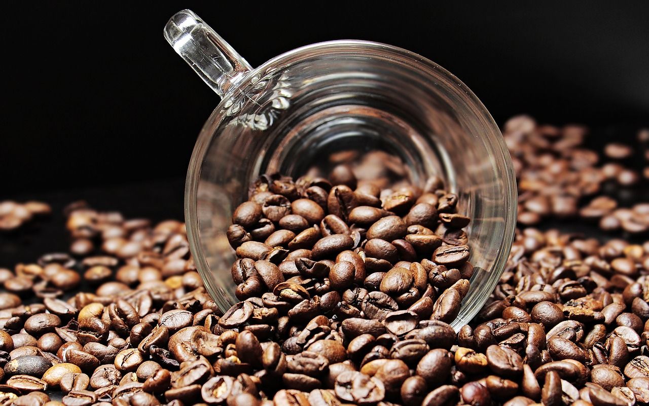 Jakie występują odmiany kawy?